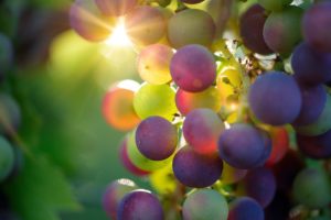 Süsswein aus der Schweiz